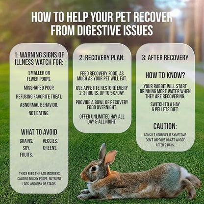 Sherwood Pet Health Rabbit Emergency kit and Bulk Recovery Food (Large kit)