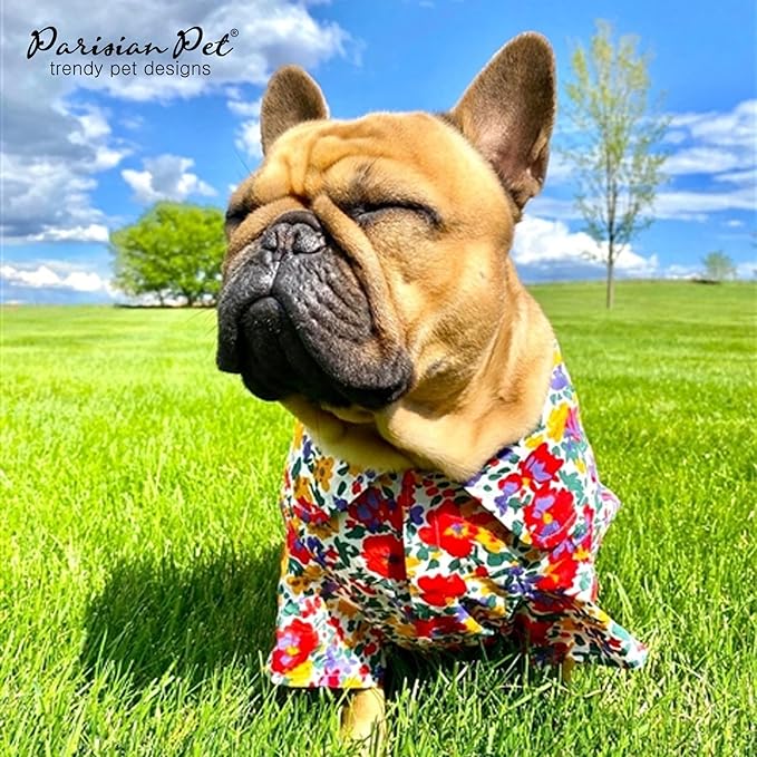 Parisian Pet Floral Pattern Dog Shirt - 100% Cotton Summer Clothes - Stylish Beach Outfit - Hook and Loop Closure - Machine Washable - XL3