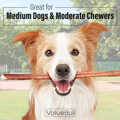 ValueBull Bully Sticks for Dogs, Medium 12 Inch, 100 Count - All Natural, Grass Fed, Single Ingredient, Long Lasting Dog Treats