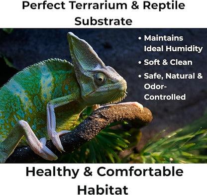 Peat Moss for Plants – Organic Sphagnum Peat Moss for Orchids, Terrariums, Seed Starting, Reptiles & Potting Soil Mix (20 quarts)