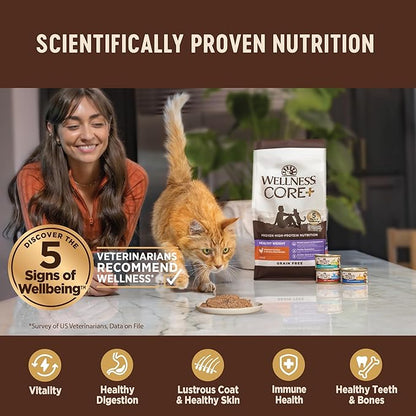 Wellness CORE+ Indoor Pate Adult Wet Cat Food, Natural, Protein-Rich, Grain Free, 2.8 Ounce, 12 Pack (Tuna & Tilapia)