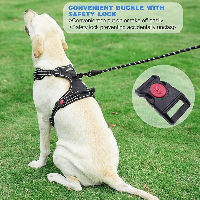 No Pull Dog Harness Adjustable Reflective Oxford Easy Control Medium Large Dog Harness with A Free Heavy Duty 5ft Dog Leash (S (Chest: 17.5"-21"), Red Harness+Leash)