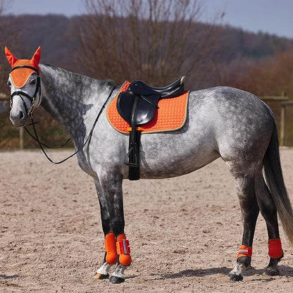 HORZE Adepto Padded All Purpose Quilted Equestrian Saddle Pad for Horses with Two-Tone Trim