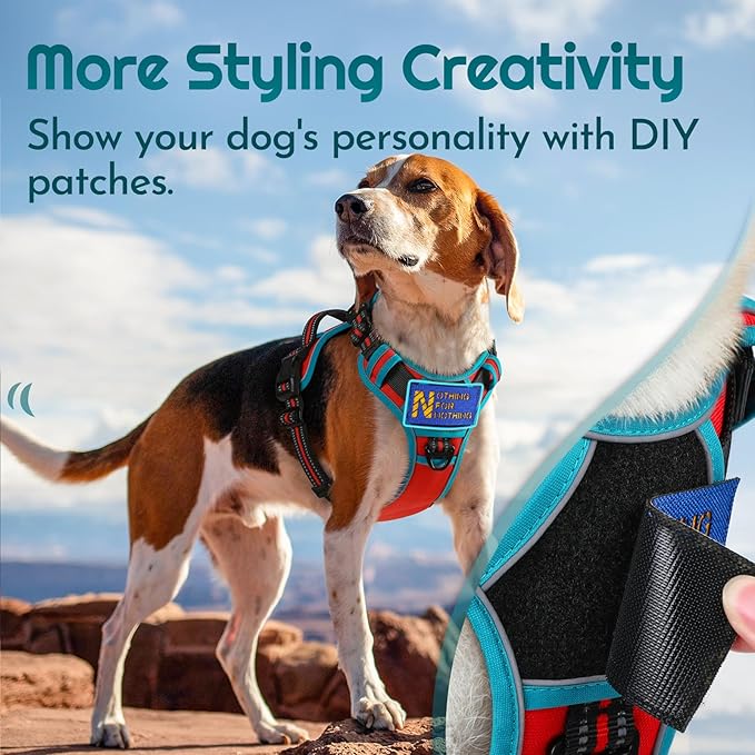 Eagloo Dog Harness for Large Dogs, Easy Wearing with 3 Buckles, Adjustable No Pull Pet Harness with 2 Rings for Walking, No Chock Reflective Soft Padded Vest with Control Handle, Red & Teal, XL