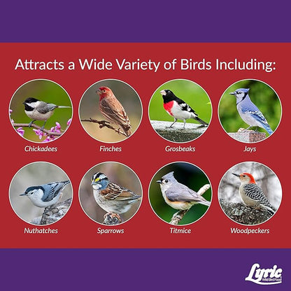 Lyric Delite Wild Bird Seed for Outside Feeders - No Waste Bird Food, Nuts & Seeds Mix, Attracts Buntings, Chickadees & Finches, 10 lb (Pack of 2-5 lb Bags)