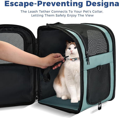 Apollo Walker Dog & Cat Carrier Backpack for 4-15lb Pets - Ventilated Safe Design with Padded Back Support, Breathable Mesh Pet Backpack for Hiking, Travel, Outdoor (Blue)