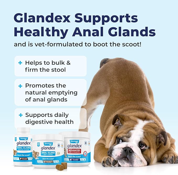 Vetnique Labs Glandex Dog Fiber Supplement Powder for Anal Glands with Pumpkin, Digestive Enzymes & Dog Probiotics for Digestive Health - Vet Recommended - Boot The Scoot (Pork Liver, 5.5oz Powder)
