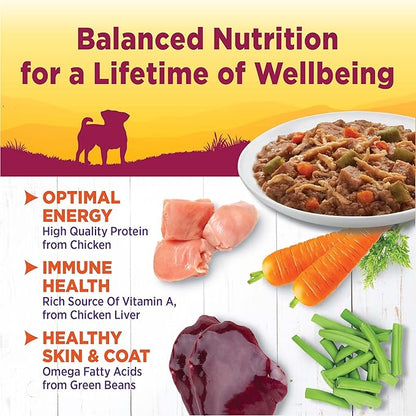 Wellness Petite Entrées Shredded Medley with Tender Chicken, Turkey, Carrots & Green Beans, 3-Ounce Cup (Pack of 12)