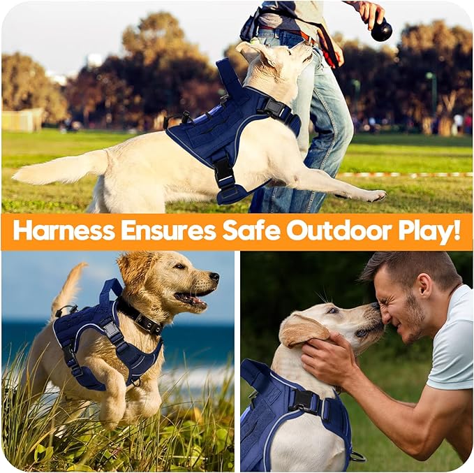 Heavy-Duty Tactical Dog Harness for Large Dogs, No Pull Adjustable Reflective Pet Vest with Molle System, K9 Military-Grade Control for Service Training, Outdoor & 10+ Breeds, Dazzling Blue, Medium