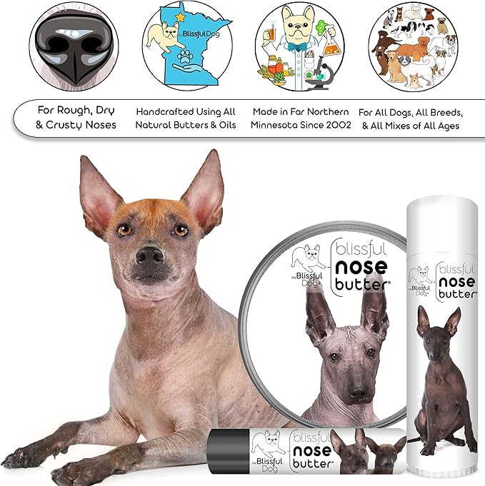 The Blissful Dog Xoloitzcuintli Nose Butter for Dry, Cracked Skin, Lick-Safe Dog Nose Balm with Moisturizing Shea Butter, Almond, Olive, and Essential Oils, Pet Supplies, Uncented, 8 oz.