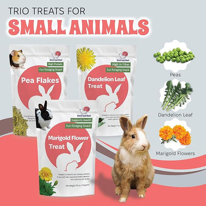 Snout and Shell Small Animal Treats – Pea Flakes, Dandelion Leaf (1oz), Marigold Flowers (0.5oz) – Natural Foraging Snacks for Rabbits, Guinea Pigs, Chinchillas, Hamsters & More