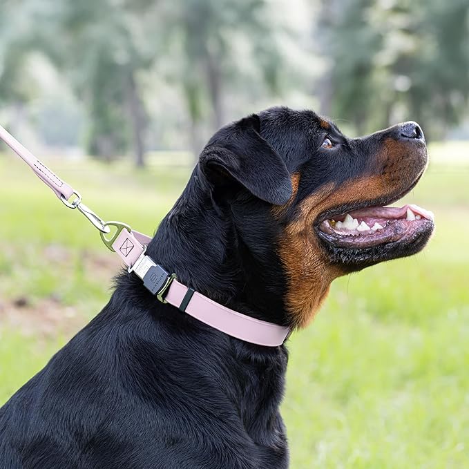 Dogline Biothane Waterproof Dog Collar with Herm Sprenger Black Stainless Steel Quick Release Buckle – Heavy Duty Tactical Durable Collar for Dogs – Comfortable and Safe Pet Collar W1 L 15-25" Pastel