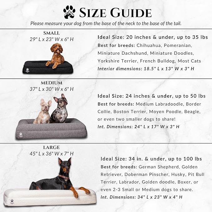 Luxury Boucle Fabric Orthopedic Dog Bed with Memory Foam | Breathable Comfort and Washable Dog Couch Bed with Waterproof Liner & Cover | Ideal Pet Beds for Small Dogs - Bone (29"x23"x6")