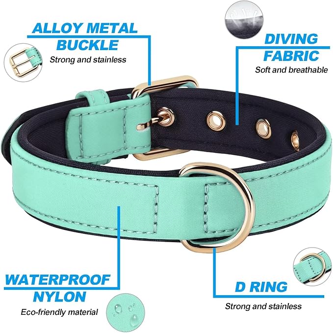 Didog Soft Padded Dog Collars for Medium Dogs, Lightweight and Breathable Dog Collar with Metal Buckle, Green, L