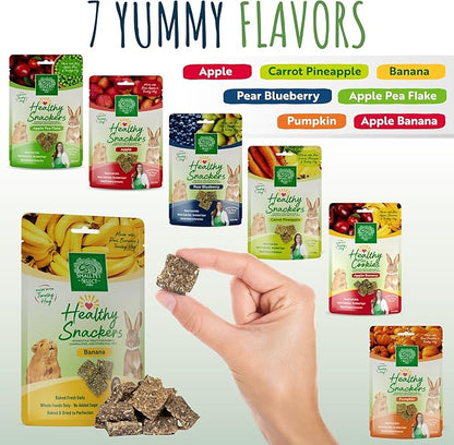 Small Pet Select - Healthy Snackers - Banana (Pack of 2)