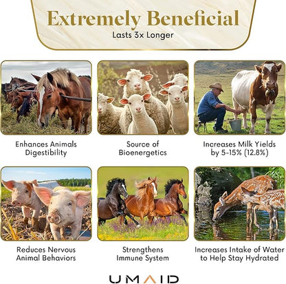 UMAID Himalayan Salt Lick 6 lbs On Rope for Horse, Deer, Goat, and Livestock Animals - Himalayan Salt Block 2 Pack