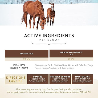 Equithrive Original Joint Supplement Powder with Resveratrol and Hyaluronic Acid for Horses, Equine Care, 8 lbs