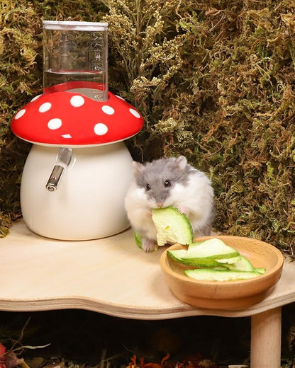 Niteangel Hamster Snack & Treats Toy - Small Animal Natural Treat for Dwarf Syrian Robo Hamsters Gerbils Mice Lemmings Degus or Other Small-Sized Pets