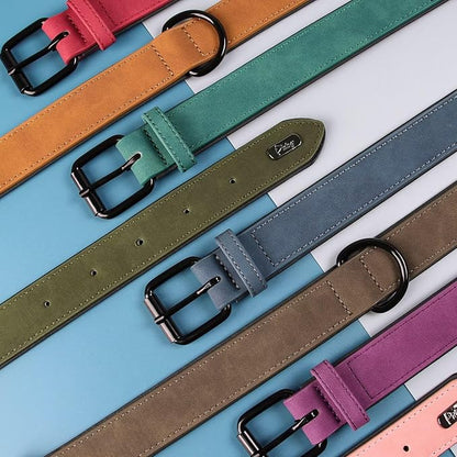 Didog Soft Padded PU Leather Dog Collar, Breathable and Adjustable Dog Collars for Small Dogs, Comfortable for Daily Walk, Dark Green, M Fit Neck 12-15"(13-22 lbs)