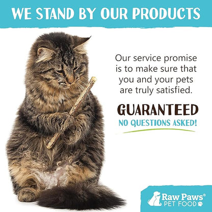 Raw Paws Silvervine Sticks for Cats (30 Pack) - Silvervine Cat Toy for Indoor Cats - Catnip Sticks - Silver Vine Cat Chew Stick