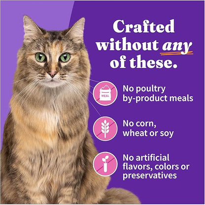 Halo Pets Spot's Stew Wholesome Turkey Cat Food Number of Cans/Size: 5.5-oz, case of 12