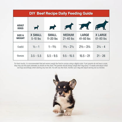 JustFoodForDogs DIY Nutrient Blend for Homemade Dog Food, Beef & Russet Potato, 4.55oz