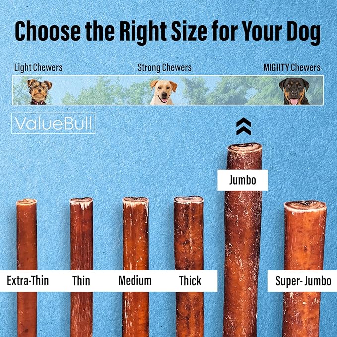 ValueBull Bully Sticks for Large Dogs, Jumbo 6 Inch, 10 Count - All Natural, Grass Fed, Single Ingredient, Long Lasting Dog Treats for Aggressive Chewers