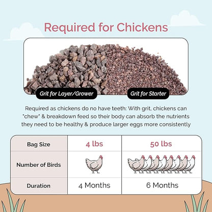 Chicken Grit for Layer & Grower Chickens Age 8-20+ Weeks - 100% Natural Mineral Chicken Grit Quartzite, Poultry Grit, USA Mined, 4 lbs