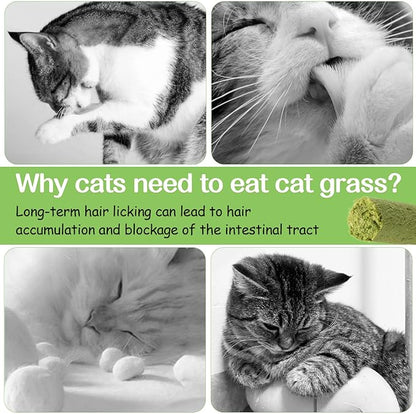HavenJanny 100g Cat Grass Teething Stick, Freezed Drying Cat Grass Sticks Snacks for Cats, Edible Cats Treats for Teeth Cleaning and Hairball Removal