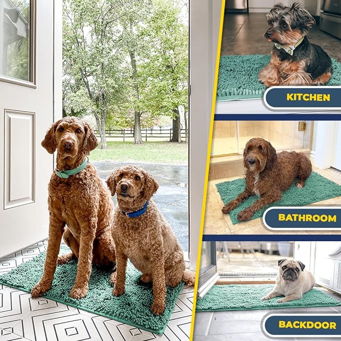 Muddy Mat® Shown on TV–Super Absorbent Microfiber Dog Door Mat for Muddy Paws, Non-Slip Washable Pet Rug, Quick Dry Chenille Entryway Carpet, Machine Washable Indoor Outdoor mat–Seafoam Green 30"x19"