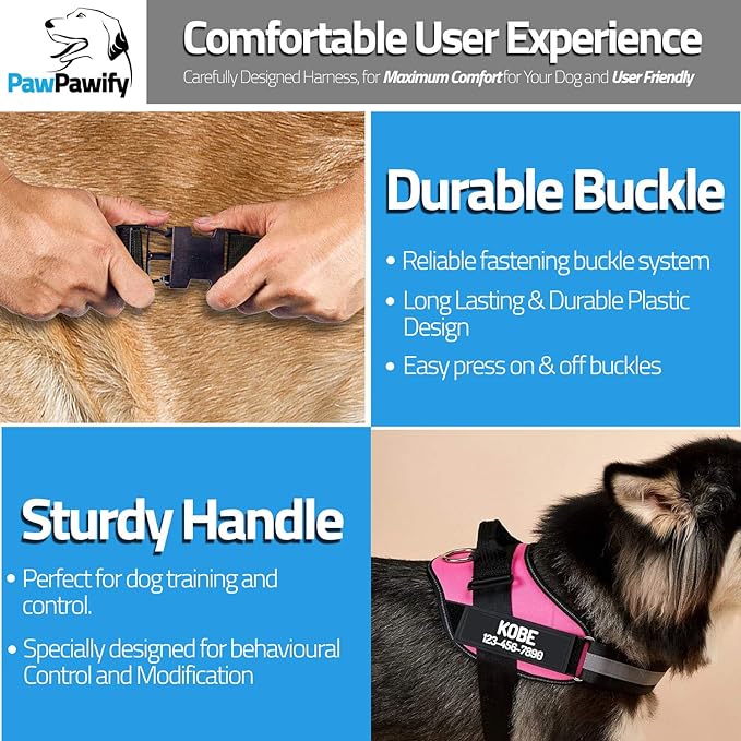 PawPawify Custom No Pull Dog Harness with Name and Phone Number, Heavy Duty Personalized Pet Vest to Prevent Tugging, Pulling, or Choking, Training and Walking (SkyBlue, M (20-40 LBS))