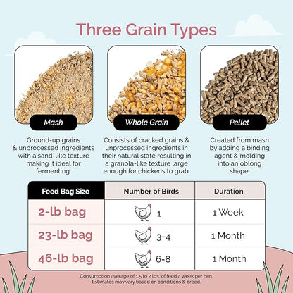 Organic Chicken Feed – Layer Pellet, Non-GMO, USA Grown, 16% Protein, Corn-Free, Soy-Free, Non-Medicated Feed for Chickens, 46 lbs