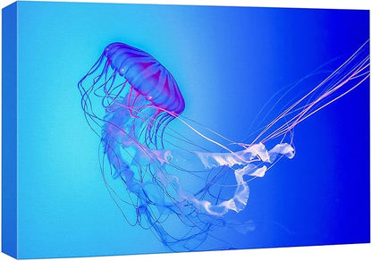 wall26 Canvas Print Wall Art Vibrant Neon Blue Pink Jellyfish Deep Sea Nature Animals Photography Realism Rustic Scenic Landscape Wilderness Earth Colorful for Living Room, Bedroom, Office - 32"x48"