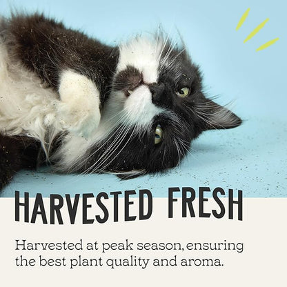 Catnip, All Natural Premium Catnip (8 oz Thick Cut)