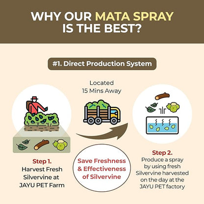 JAYU PET Active MATA Spray – 100% Natural Silvervine Spray for Cats, Liquid Catnip Alternative, Calming Spray for Indoor Kittens, Boosts Play & Engagement, Reduces Stress (1 fl oz)