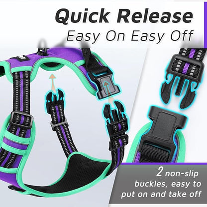 Eagloo Dog Harness Small Sized Dog, No Pull Service Vest with Reflective Strips and Control Handle, Adjustable and Comfortable for Walking, No Choke Pet Harness with 2 Metal Rings, Purple & Green, S