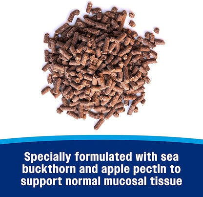 Farnam Gastric Health Pellets, Daily Gut and Digestive Health Supplement for Horses Helps Maintain a Healthy Gastrointestinal Tract and Gut Function