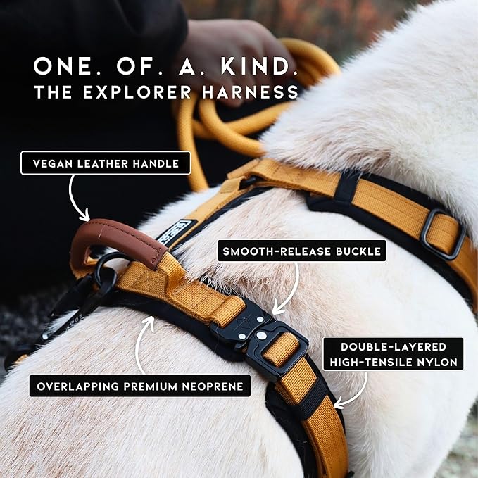MADE TO ROAM Premium Explorer Harness - Y-Shaped Dog Harness with Adjustable Durable Nylon, Soft Padding, Metal Buckles and Leather Handle for Small, Medium, Large Dogs (Alaska Daybreak, Size 1)