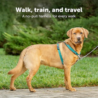PetSafe 3 in 1 Dog Harness - No Pull Solution for Dogs - Reflective Dog Harness - Front D-Ring Clip Helps Stop Pulling - Comfortable Padded Straps - Top Handle Enhances Control - Black - Large