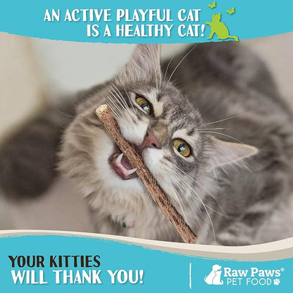 Raw Paws Silvervine Sticks for Cats (30 Pack) - Silvervine Cat Toy for Indoor Cats - Catnip Sticks - Silver Vine Cat Chew Stick