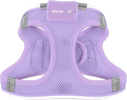 Light Up Dog Harness,Rechargeable LED Dog Harness for Small Medium Large Dogs,Reflective Lighted Safety Vest for Night Walking & Camping,Lightweight & Adjustable,Lavender Purple,S