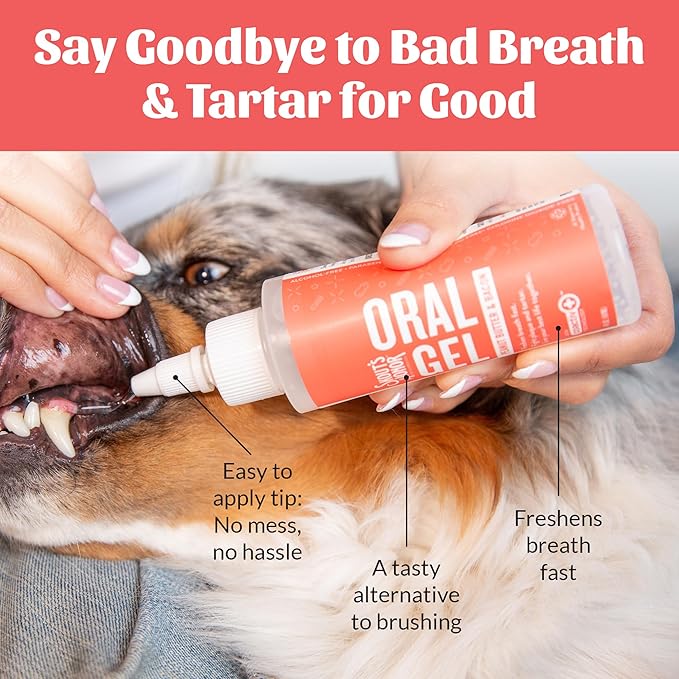SKOUT'S HONOR Peanut Butter & Bacon Oral Gel - Fights Plaque and Tartar, Freshens Breath Fast, No Brushing Required, 4 oz, 2-Pack