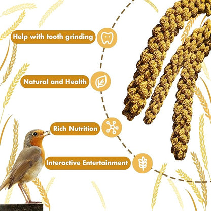 Jmxu's 2LB Spray Millet Treat for Birds Parakeets, Natural Sun-Dried Birds Millet for Cockatiel, Finches, Parrots, Hamster