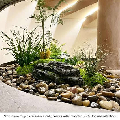 SIDONG 10 lbs Mixed River Rocks, 1.2-2 Inches Highly Polished Pebbles for Indoor Plants, Aquarium Rocks Used in Fish Tank, Decorative Stones for Plants, Vases, Home Décor, Crafting, Garden Landscaping