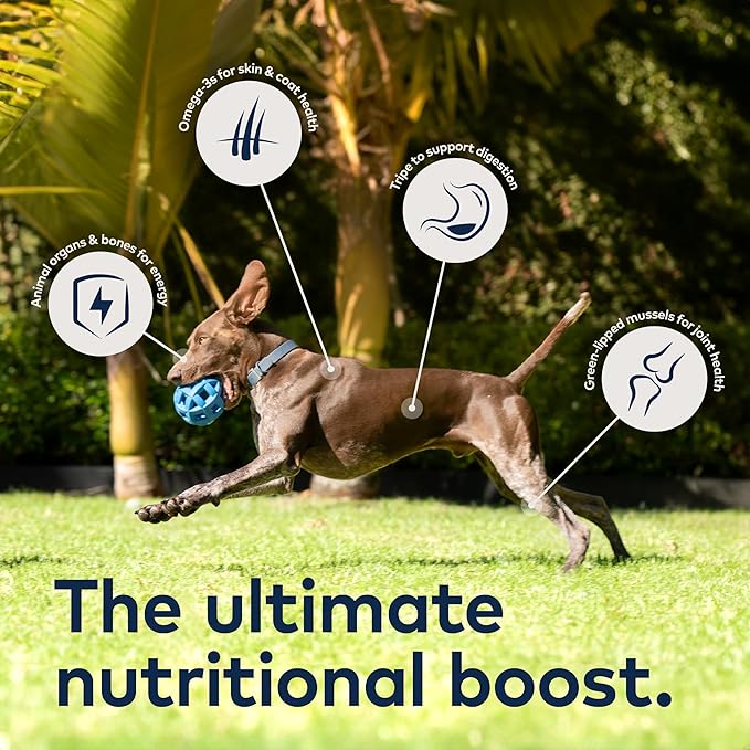 ZIWI Peak Air-Dried Dog Food Bundle - All Natural, High Protein, Grain Free & Limited Ingredient with Superfoods (Beef, Lamb & Chicken, 16oz Each)