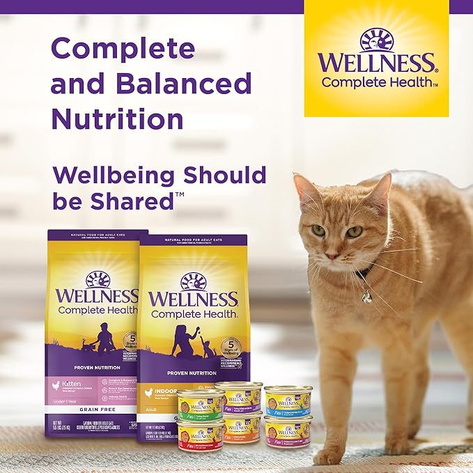 Wellness Complete Health Sliced Adult Wet Cat Food, Natural, Protein-Rich, Grain Free, 5.5 Ounce, 24 Pack, (Salmon Entrée)