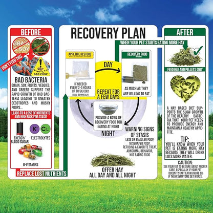 Pet Guinea Pig Emergency Kit with Timothy Recovery Food (Large Emergency Kit)