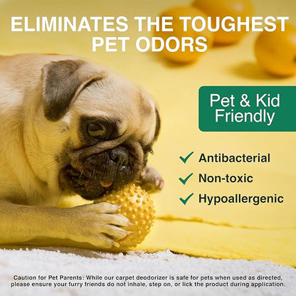 Good Natured Brand | Laundry Bundle | Carpet Freshener Lemon & Eucalyptus 31oz | Pet-Friendly Carpet Deodorizer | Laundry Powder Peppermint 47oz | Hypoallergenic Laundry Powder 94 Loads