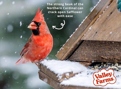 Valley Farms Fruit Nut & Berry 4 LB 2-Pack (8 LB Total) Wild Bird Food for Outside Feeders, Bird Seed with Dried Fruit, Peanuts Sunflower Hearts, Safflower High Energy Mix for Healthy Birds!
