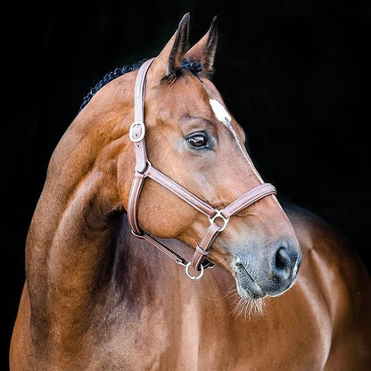 HORZE Warren Soft Adjustable Genuine Leather Horse Halter | Stainless Steel Hardware - Light Brown - Cob